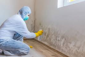 Best Water Damage & Mold Remediation in Goodwater, AL