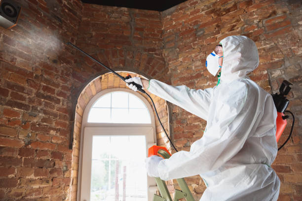  Goodwater, AL Mold Removal Pros