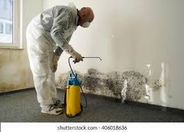 Why You Should Choose Our Mold Remediation Services in Goodwater, AL